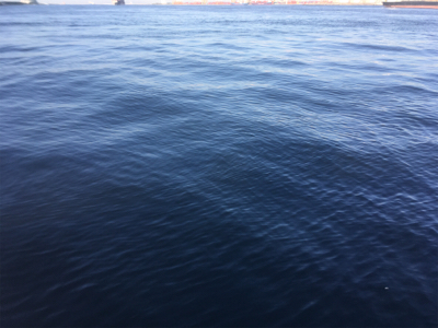 中秋の名月釣行