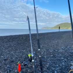 カゴでアジ、ルアーでシオ