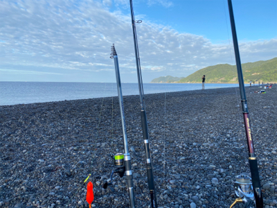 カゴでアジ、ルアーでシオ