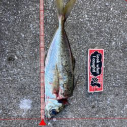 ⭐︎睡眠欲<釣り欲