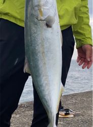 ショアジギング