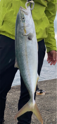 ショアジギング