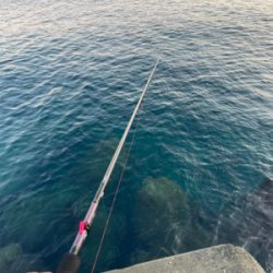 2人で4杯　しぶかった。