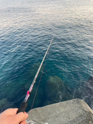 2人で4杯　しぶかった。