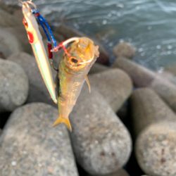 お祭り騒ぎに参加したけど…