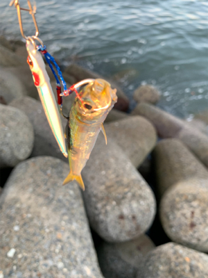 お祭り騒ぎに参加したけど…