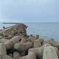 陸っぱりジギング