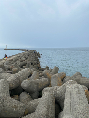 陸っぱりジギング