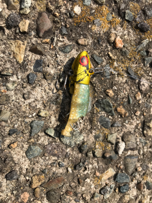 久々のお昼釣行