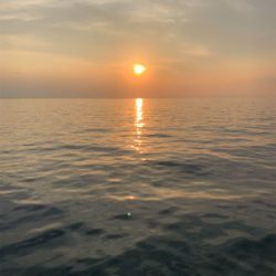 久々のフカセチヌ