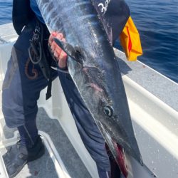 初魚種2種追加!!