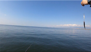 青物皆無 サバ少し