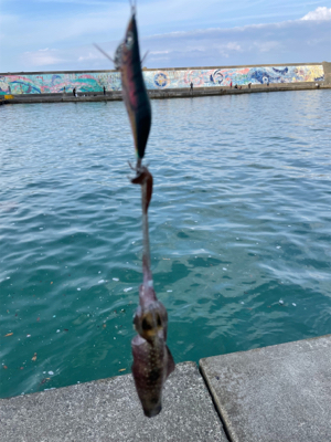 何とか1杯　坊主は免れた