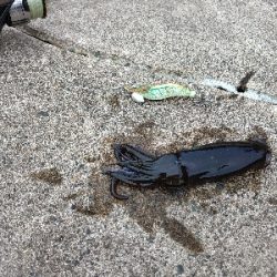 けっこうな雨の中