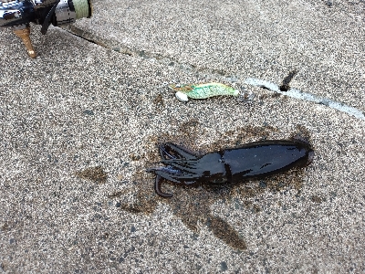 けっこうな雨の中