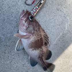 舞鶴沖スローピッチジャーク