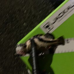 久々過ぎて大満足!