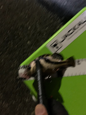 久々過ぎて大満足!