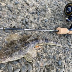 吹上浜サーフ五目釣