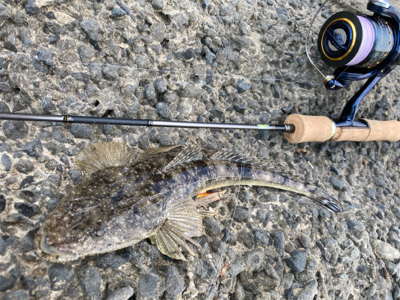 吹上浜サーフ五目釣