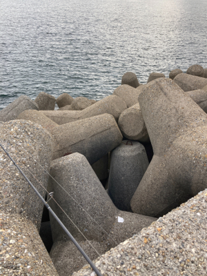 エギのローテでアオリイカGET＼(^o^)／