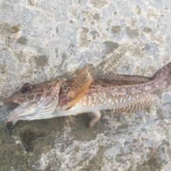 台風が来る前に