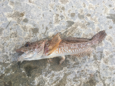台風が来る前に