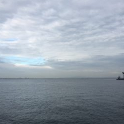 今日はエソだけ