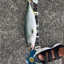 ショアジギング