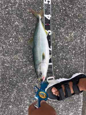 ショアジギング