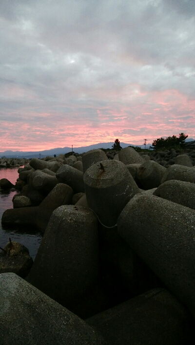 障泥烏賊4杯！キジハタ1匹！