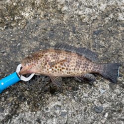 ウキダンゴ釣り