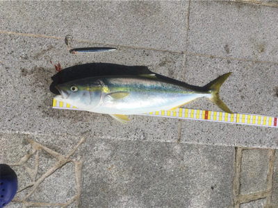 今日も1日ジギングを楽しみました