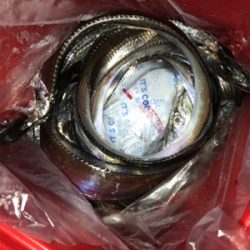 タチウオ短時間勝負