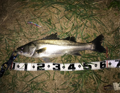 ランカーまで後2cm(>_<)