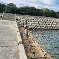 サイトエギング