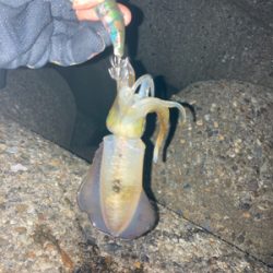 時合いは一瞬。。。σ(^_^;)