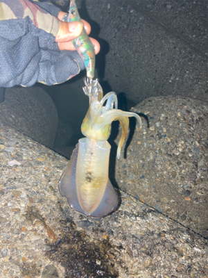 時合いは一瞬。。。σ(^_^;)