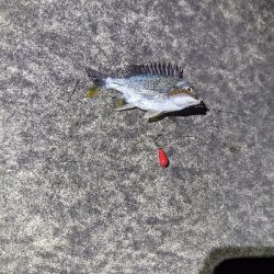 仕事帰りにぶっこみ