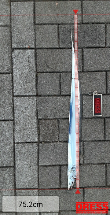 平日にも関わらず混みすぎ