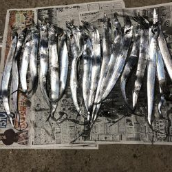 太刀魚遠征4回目