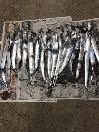 太刀魚遠征4回目