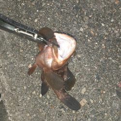 足元でくってきました