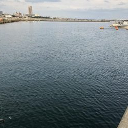 久しぶりの釣行