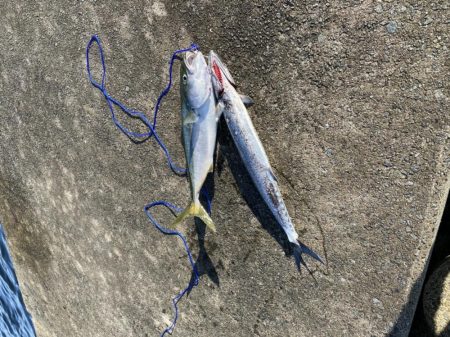 デカイのフッキングしなかった。