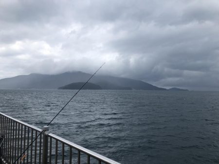 帰ってきたサゴシ