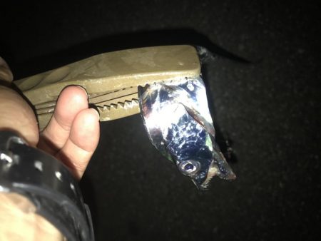 夕マズメの太刀魚釣り