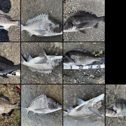 イチノ兄弟、釣果!