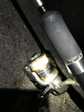 良型太刀魚、青物ボウズ