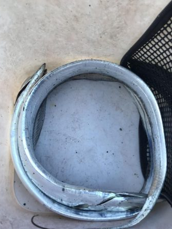 朝マズメの太刀魚釣り